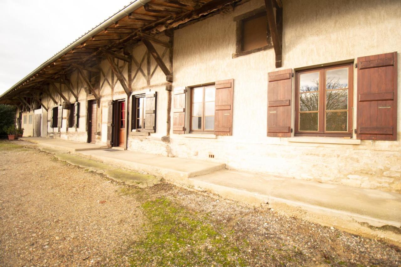 Ferme Bressane - 4 Chambres Saint-Etienne-du-Bois  Eksteriør bilde